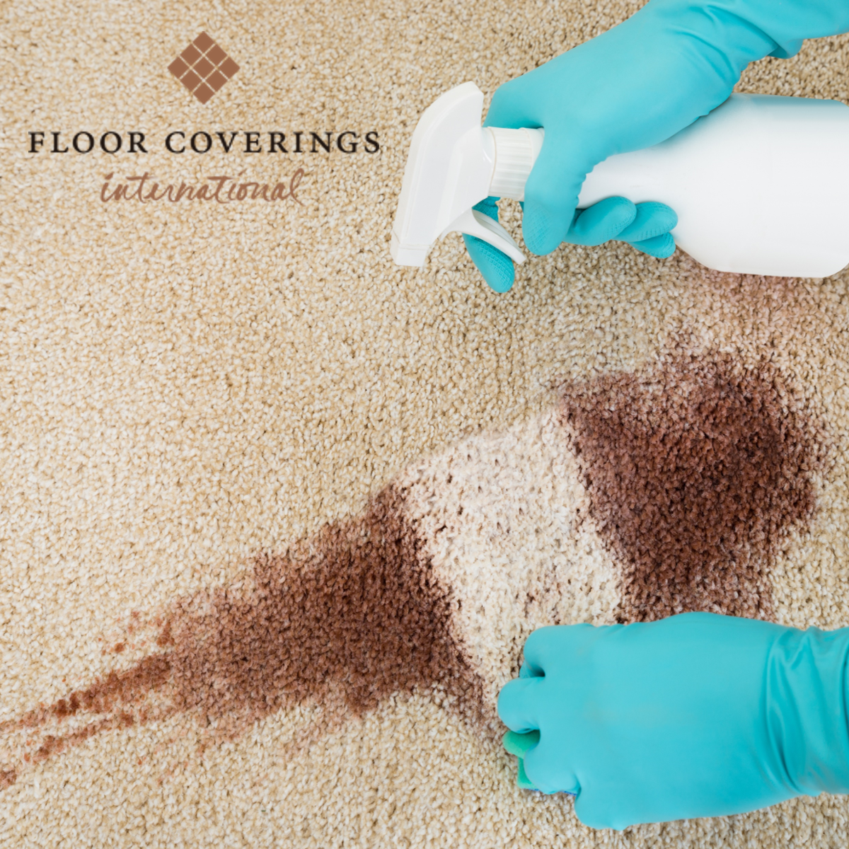 floor coverings international franchise